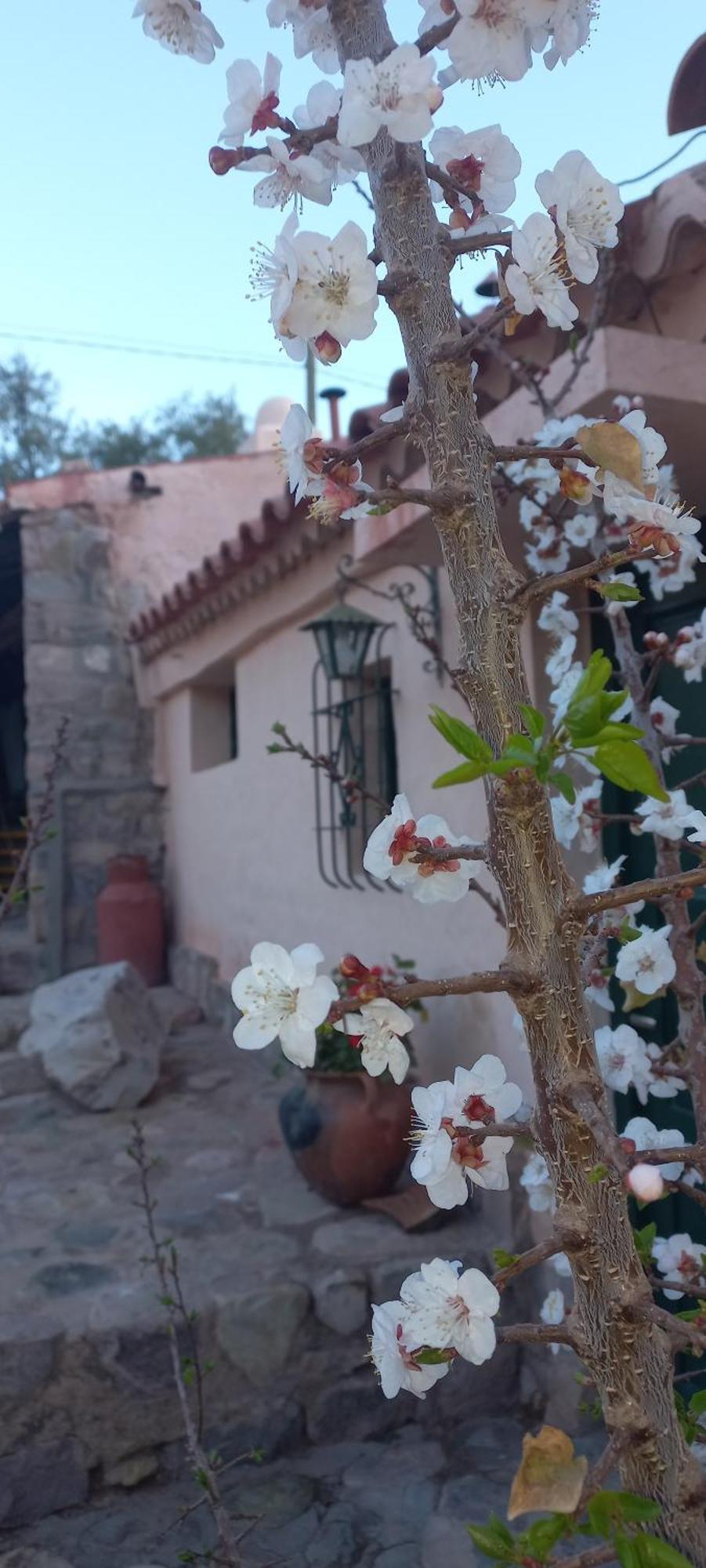Los Arcabuceros Casa Hotel Boutique Тилькара Экстерьер фото