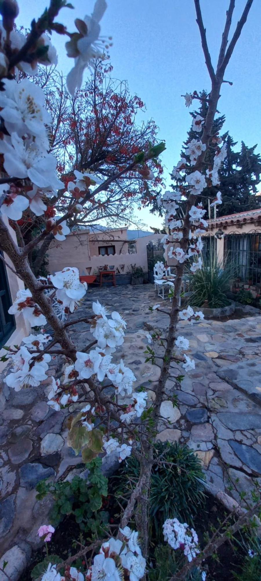 Los Arcabuceros Casa Hotel Boutique Тилькара Экстерьер фото