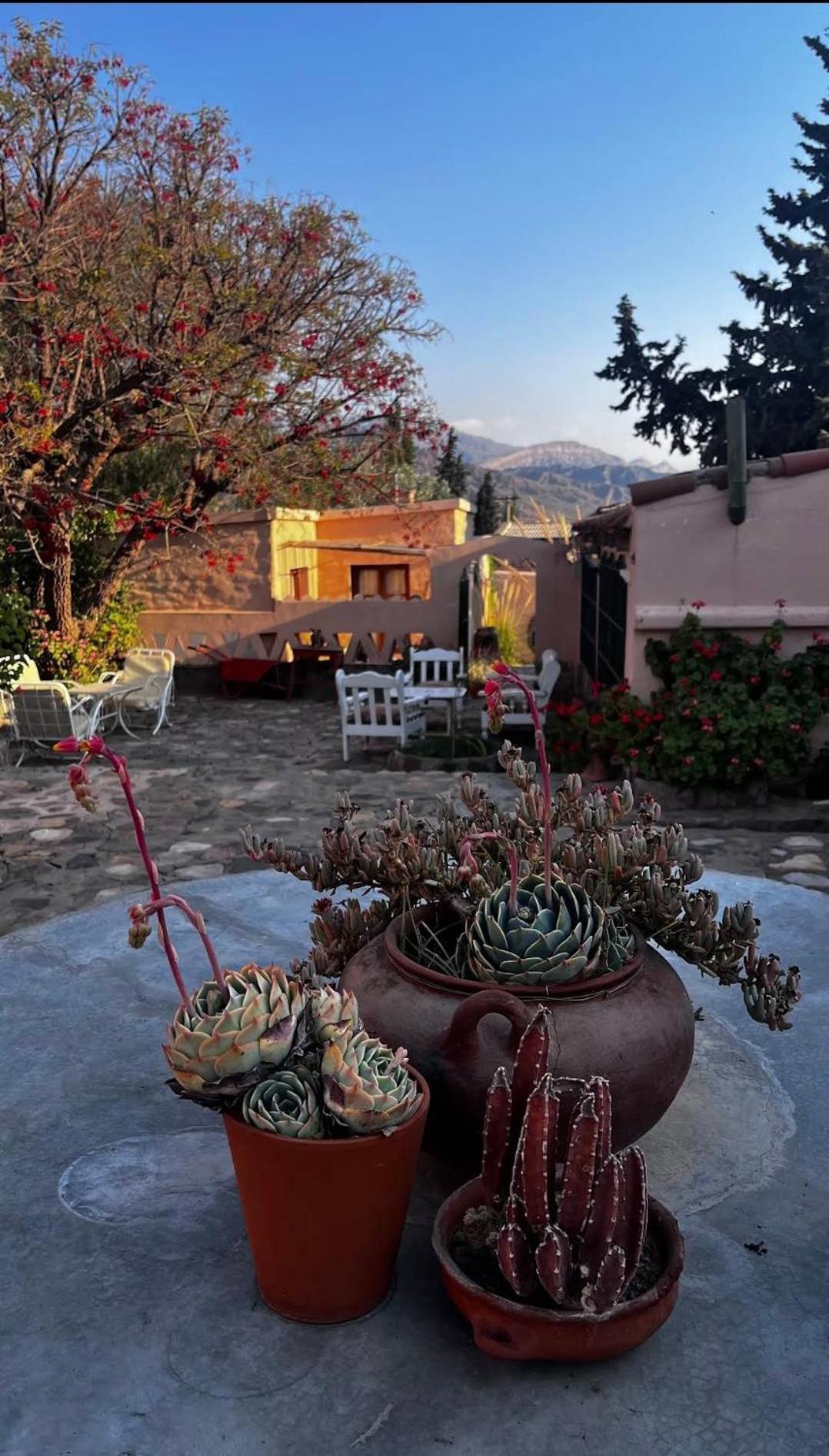 Los Arcabuceros Casa Hotel Boutique Тилькара Экстерьер фото
